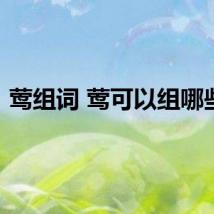 莺组词 莺可以组哪些词