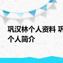 巩汉林个人资料 巩汉林个人简介
