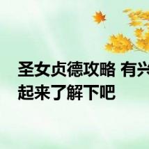 圣女贞德攻略 有兴趣一起来了解下吧
