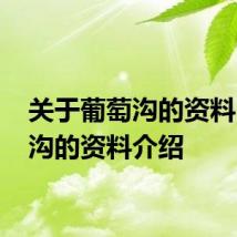 关于葡萄沟的资料 葡萄沟的资料介绍