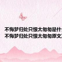 不悔梦归处只恨太匆匆是什么意思 不悔梦归处只恨太匆匆原文及译文