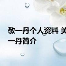 敬一丹个人资料 关于敬一丹简介