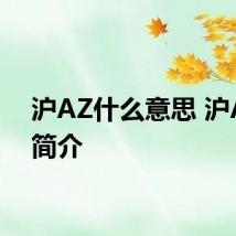 沪AZ什么意思 沪AZ的简介