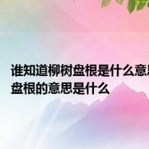 谁知道柳树盘根是什么意思 柳树盘根的意思是什么