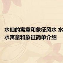 水仙的寓意和象征风水 水仙的风水寓意和象征简单介绍