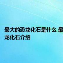 最大的恐龙化石是什么 最大的恐龙化石介绍