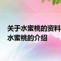 关于水蜜桃的资料 关于水蜜桃的介绍