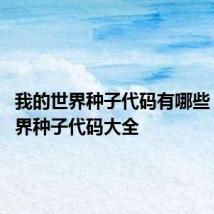 我的世界种子代码有哪些 我的世界种子代码大全
