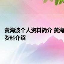 黄海波个人资料简介 黄海波个人资料介绍