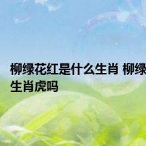 柳绿花红是什么生肖 柳绿花红是生肖虎吗