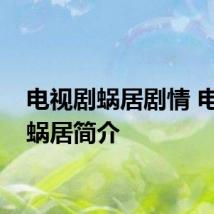 电视剧蜗居剧情 电视剧蜗居简介