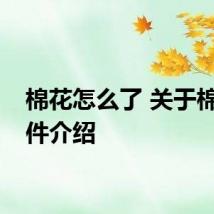棉花怎么了 关于棉花事件介绍