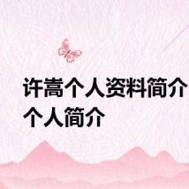 许嵩个人资料简介 许嵩个人简介