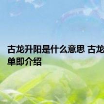 古龙升阳是什么意思 古龙升阳简单即介绍