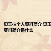 史玉柱个人资料简介 史玉柱个人资料简介是什么