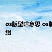 os版型啥意思 os版型介绍