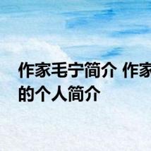 作家毛宁简介 作家毛宁的个人简介