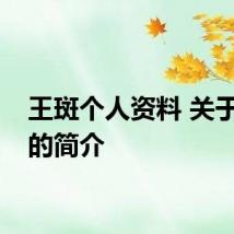 王斑个人资料 关于王斑的简介