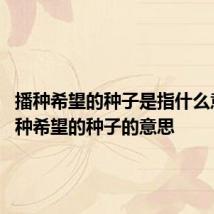 播种希望的种子是指什么意思 播种希望的种子的意思