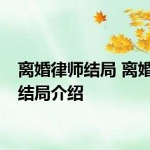 离婚律师结局 离婚律师结局介绍