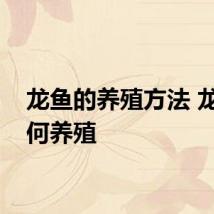 龙鱼的养殖方法 龙鱼如何养殖