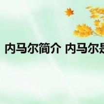 内马尔简介 内马尔是谁