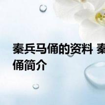 秦兵马俑的资料 秦兵马俑简介