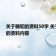 关于骆驼的资料50字 关于骆驼的资料内容