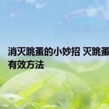 消灭跳蚤的小妙招 灭跳蚤的八种有效方法