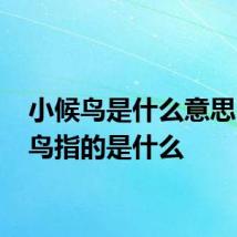 小候鸟是什么意思 小候鸟指的是什么