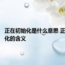 正在初始化是什么意思 正在初始化的含义