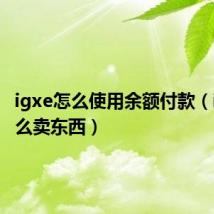 igxe怎么使用余额付款（igxe怎么卖东西）