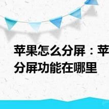 苹果怎么分屏：苹果11分屏功能在哪里