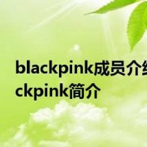 blackpink成员介绍 blackpink简介