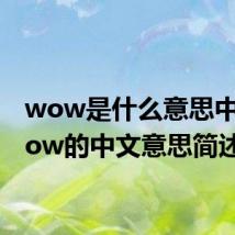 wow是什么意思中文 wow的中文意思简述