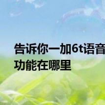 告诉你一加6t语音唤醒功能在哪里
