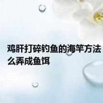 鸡肝打碎钓鱼的海竿方法 鸡肝怎么弄成鱼饵