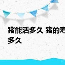 猪能活多久 猪的寿命是多久