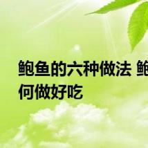 鲍鱼的六种做法 鲍鱼如何做好吃