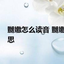 嬲嫐怎么读音 嬲嫐的意思