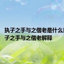 执子之手与之偕老是什么意思 执子之手与之偕老解释