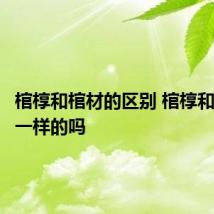 棺椁和棺材的区别 棺椁和棺材是一样的吗