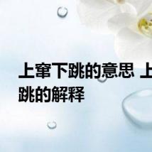 上窜下跳的意思 上窜下跳的解释
