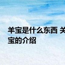 羊宝是什么东西 关于羊宝的介绍