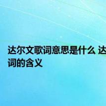 达尔文歌词意思是什么 达尔文歌词的含义