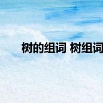 树的组词 树组词