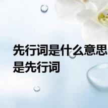 先行词是什么意思 什么是先行词