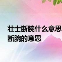 壮士断腕什么意思 壮士断腕的意思