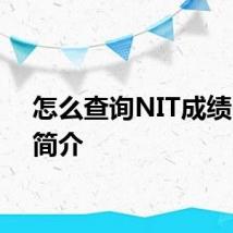 怎么查询NIT成绩 NIT简介