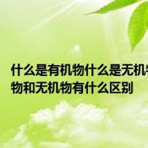 什么是有机物什么是无机物 有机物和无机物有什么区别